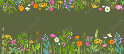 Horizontal banner or floral background decorated with gorgeous colorful blooming medicinal flowers and grass border