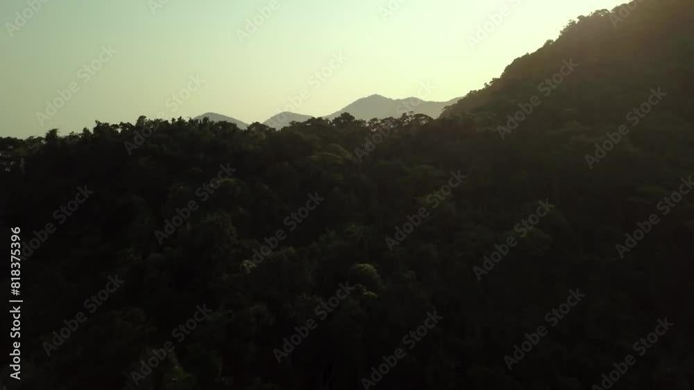 Explorando a Beleza Natural: Imagens Aéreas das Florestas e Praias num lindo pôr do sol