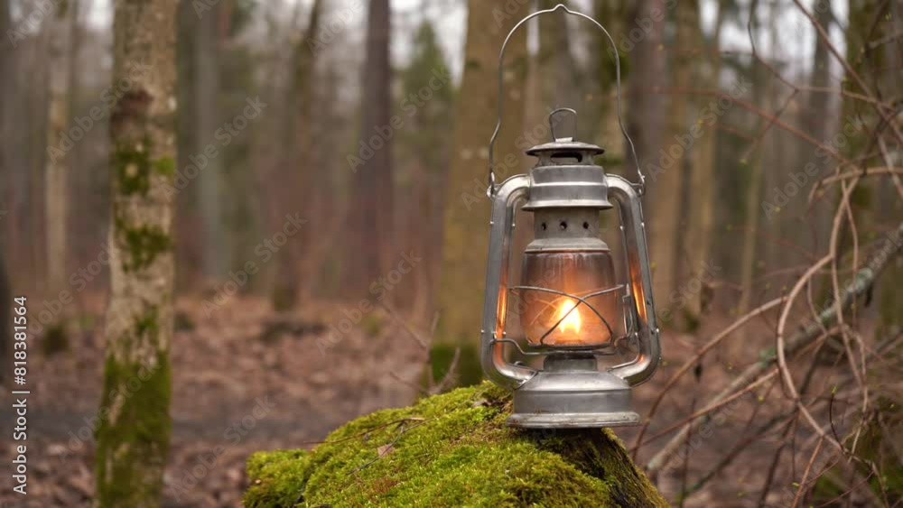 kerosene lamp on moss shines in the autumn forest
