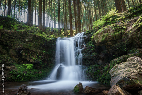 A serene waterfall flows through lush vegetation in a forested ecoregion