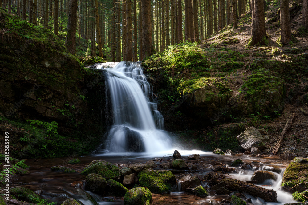 Naklejka premium A serene waterfall flows through lush vegetation in a forested ecoregion