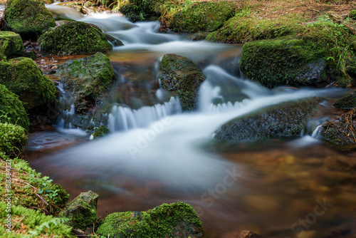 A serene waterfall flows through lush vegetation in a forested ecoregion