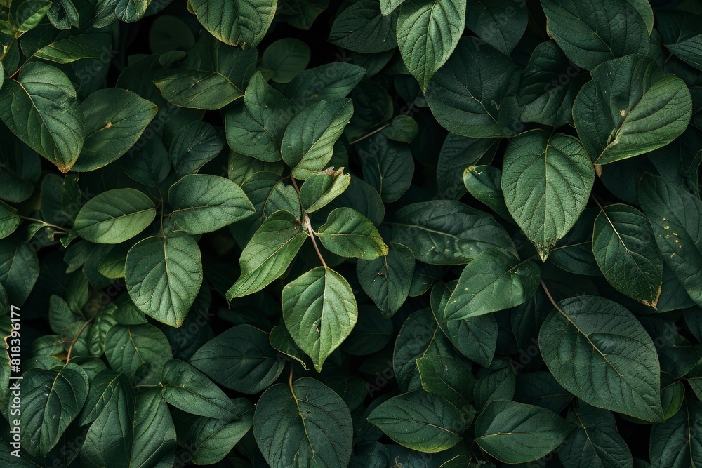The background image that is green, the colors of the autumn leaves are perfect, suitable for seasonal use - generative ai The background image that is green, the colors of the autumn leaves are perfect, suitable for seasonal use - generative ai