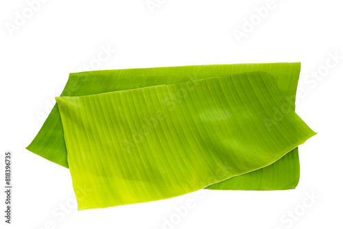 Banana leaves on white background.