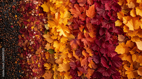 Vibrant autumn leaves in warm hues of red and orange, creating a stunning seasonal display