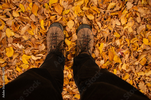 Standing in the fallen autumn leaves - Bright, Austraia