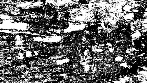 5-62. Wood Surface Texture Effect - Illustration Old Wood Black and White Vector Texture.	