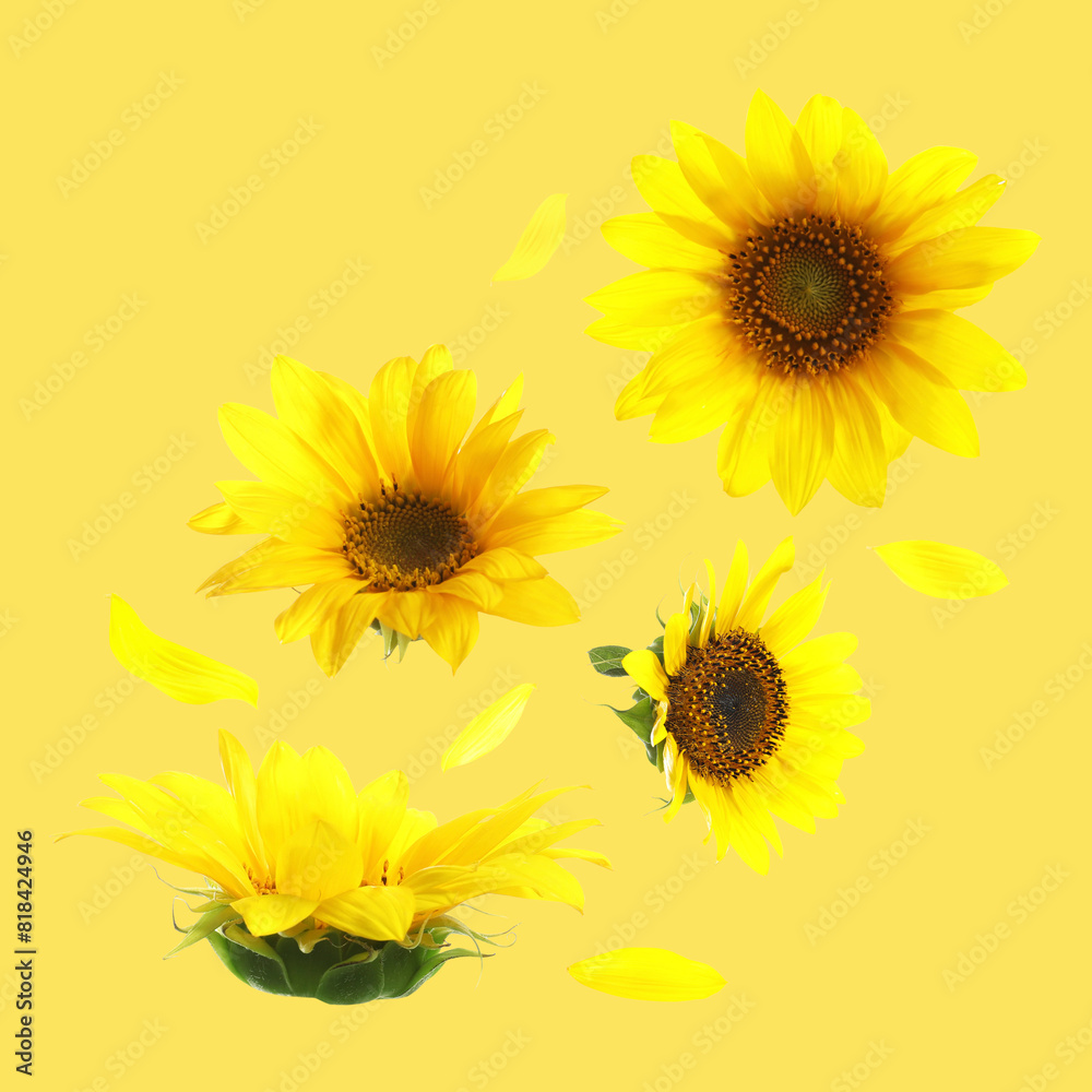 Obraz premium Bright sunflowers in air on golden background