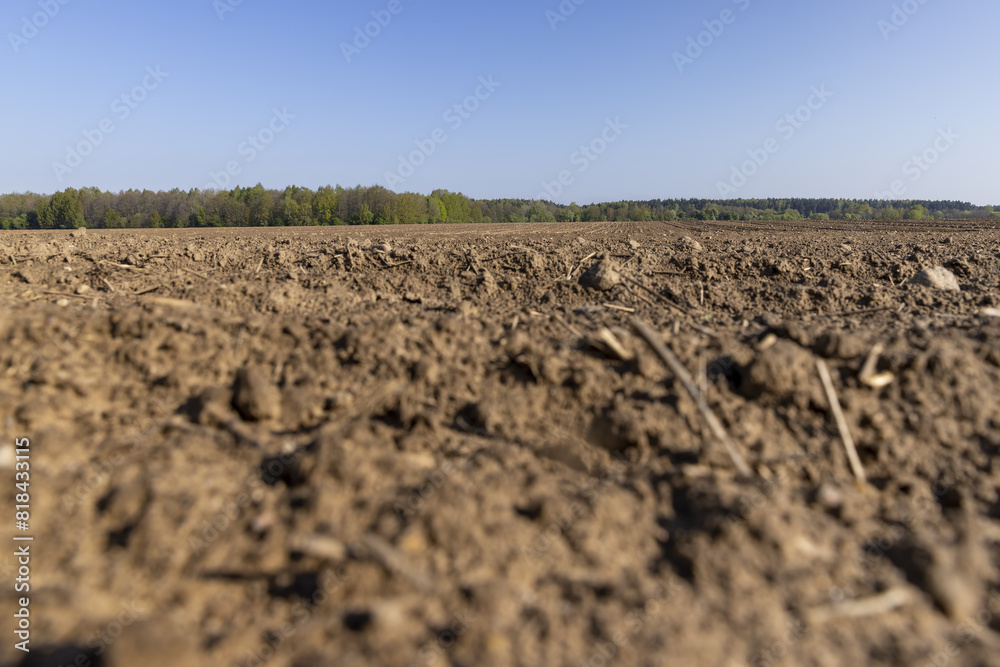 preparing the soil for sowing in spring preparing the soil for sowing in spring