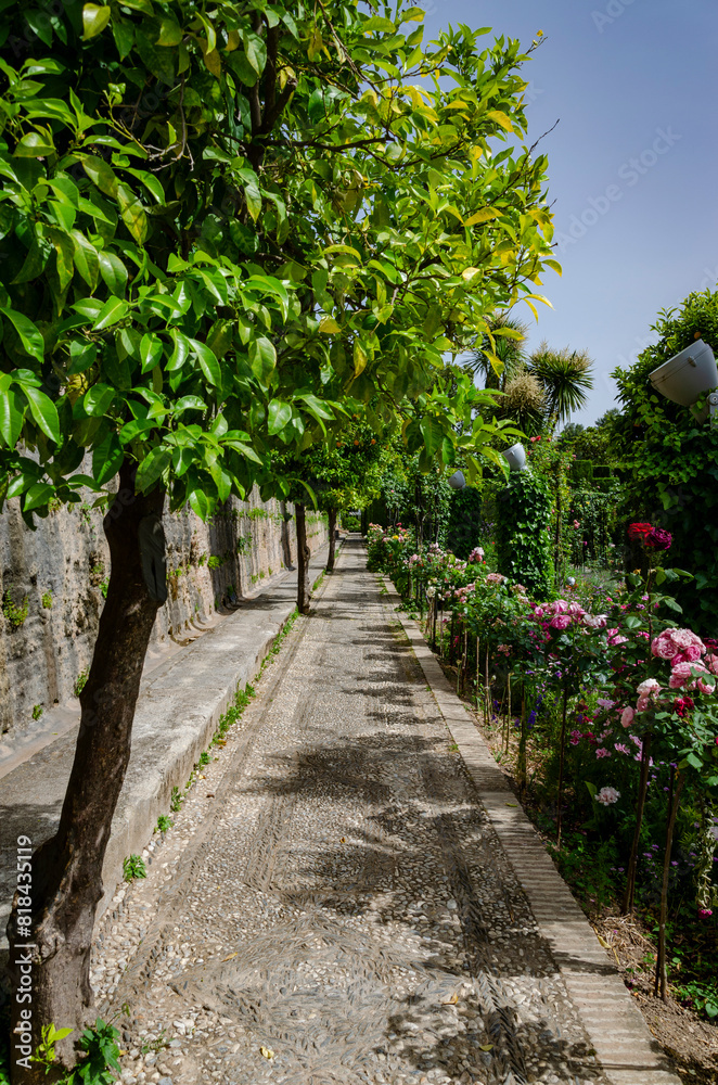 View of the Alhambra gardens in Granada Spain