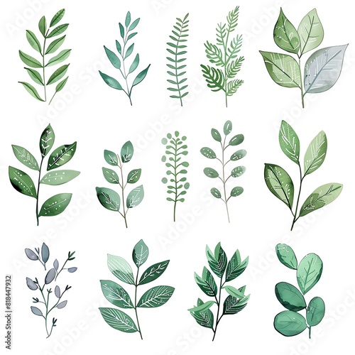 A set of watercolor style vector leaves in muted green tones.