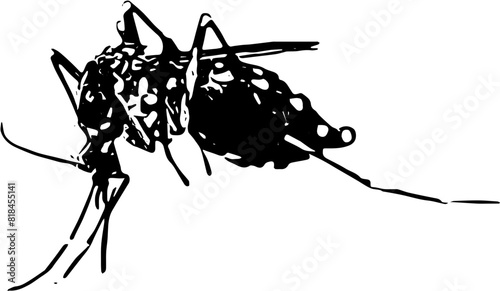 World mosquito day