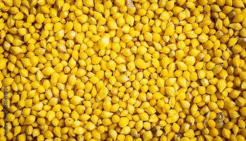 seamless scobs texture background, highlighting the fine granularity and consistency. 