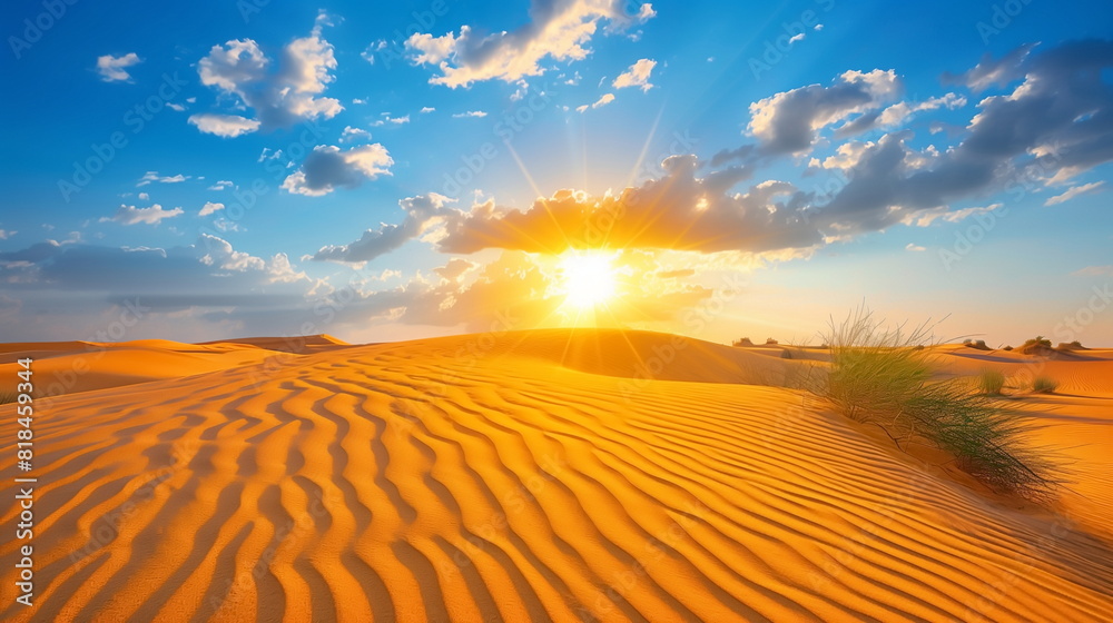 Naklejka premium sunset over the desert