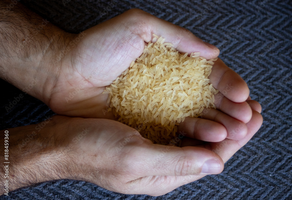 Horizontal photo of hands holding prboiled yellow rice grains.Dark background Horizontal photo of hands holding prboiled yellow rice grains.Dark background