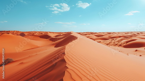 sand dunes in the desert