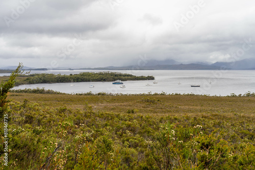Wallpaper Mural mountains in a wilderness in a national park with native plants and trees in a rainforest in Australia, forest growing in a national park in Tasmania. with rivers and exploring Torontodigital.ca