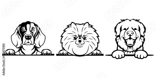 Cute peeking head silhouette, Cute dog logo silhouette for prints.
