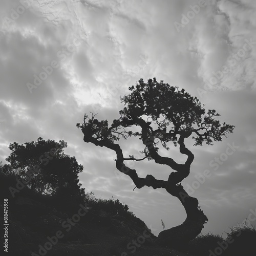 A monochromatic photo of an ancient  gnarled tree with its twisted branches silhouetted against a cloudy sky.