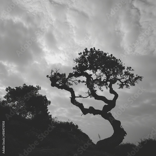 A monochromatic photo of an ancient, gnarled tree with its twisted branches silhouetted against a cloudy sky.