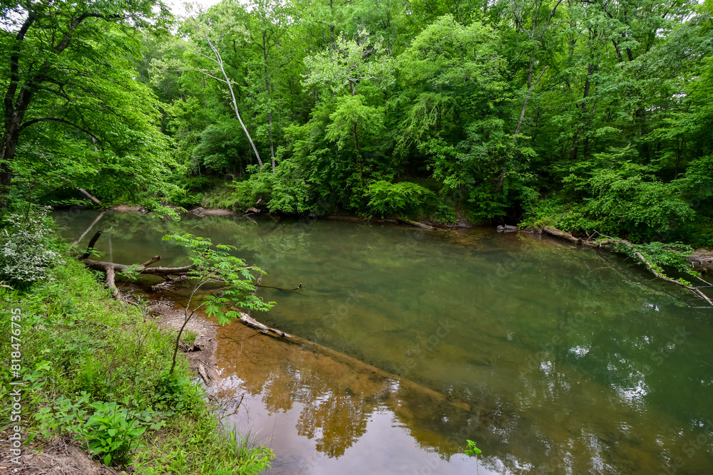 A Walk by the Cahaba River in Birmingham, Alabama A Walk by the Cahaba River in Birmingham, Alabama