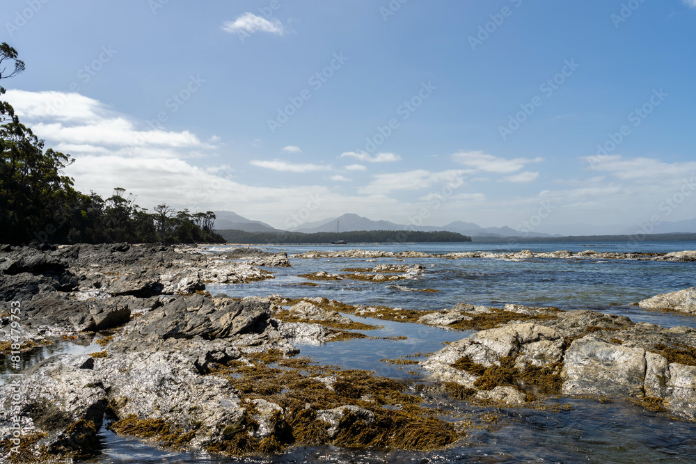 sailing on a yacht in the australian in the remote forest wilderness in spring, with waves breaking on a beach on the australian coastline sailing on a yacht in the australian in the remote forest wilderness in spring, with waves breaking on a beach on the australian coastline