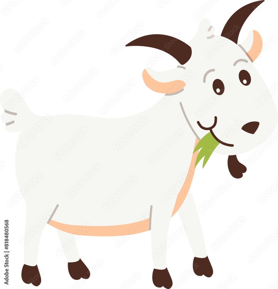 Cute white farm goat animal eating green grass on Eid al-Adha holiday