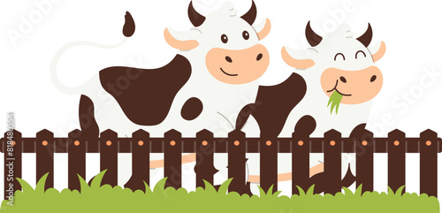 Farm cows are happy in outdoor pens