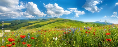 A picturesque countryside scene, with rolling hills and verdant meadows dotted with colorful wildflowers, under a clear blue sky with fluffy white clouds,