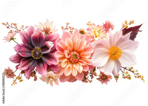 isolated wedding flower blossom for event decoration
