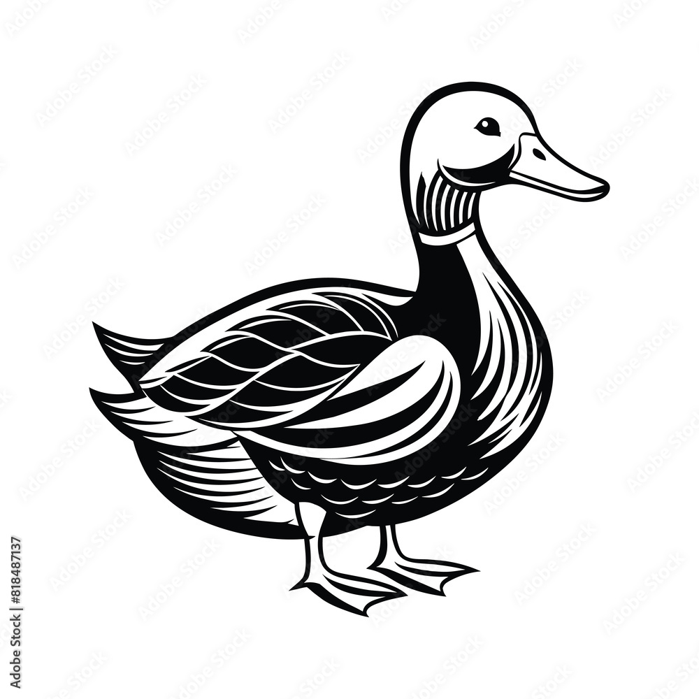Obraz premium Duck Vector art Illustration