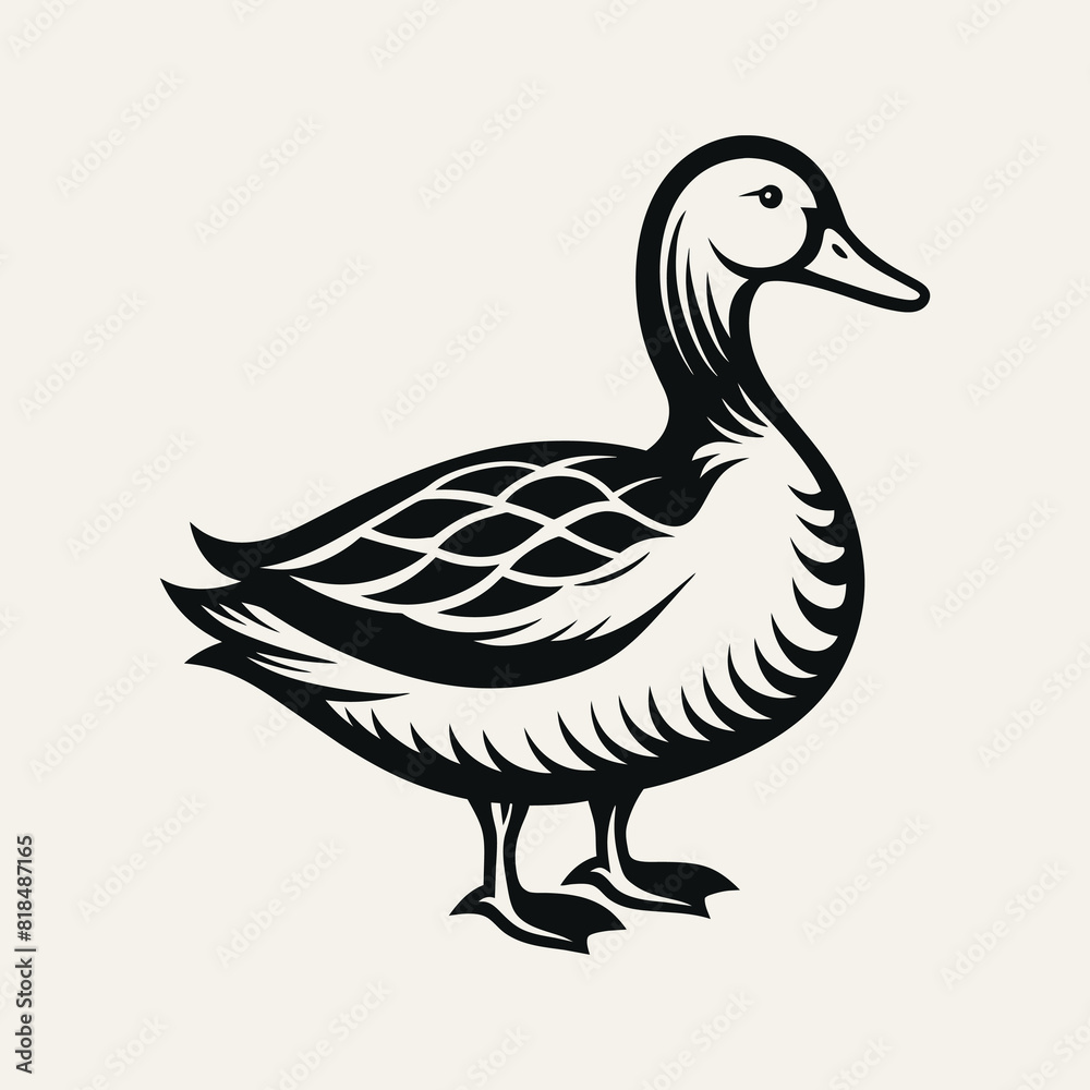 Obraz premium Duck Vector art Illustration
