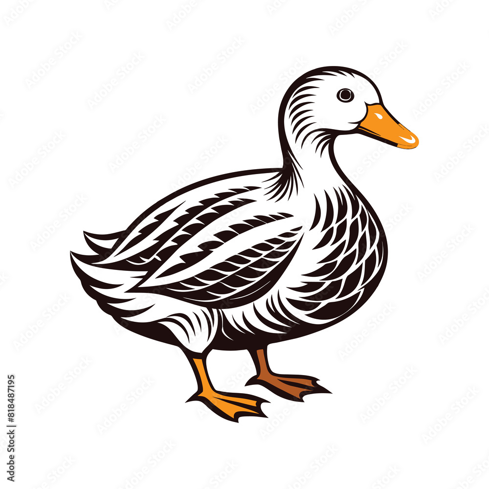 Duck Vector art Illustration Duck Vector art Illustration