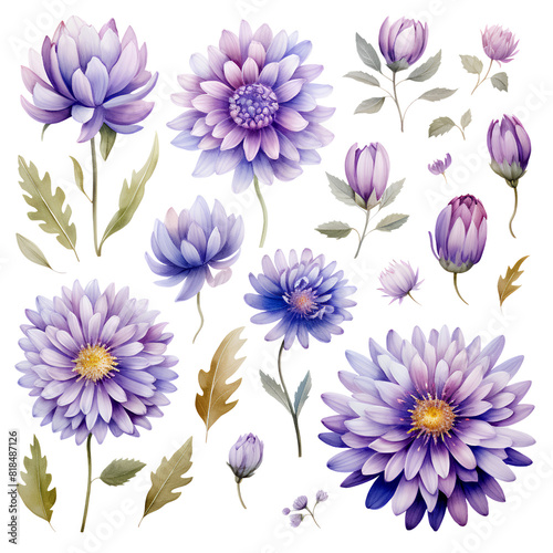 Watercolor stickers set clipart flower