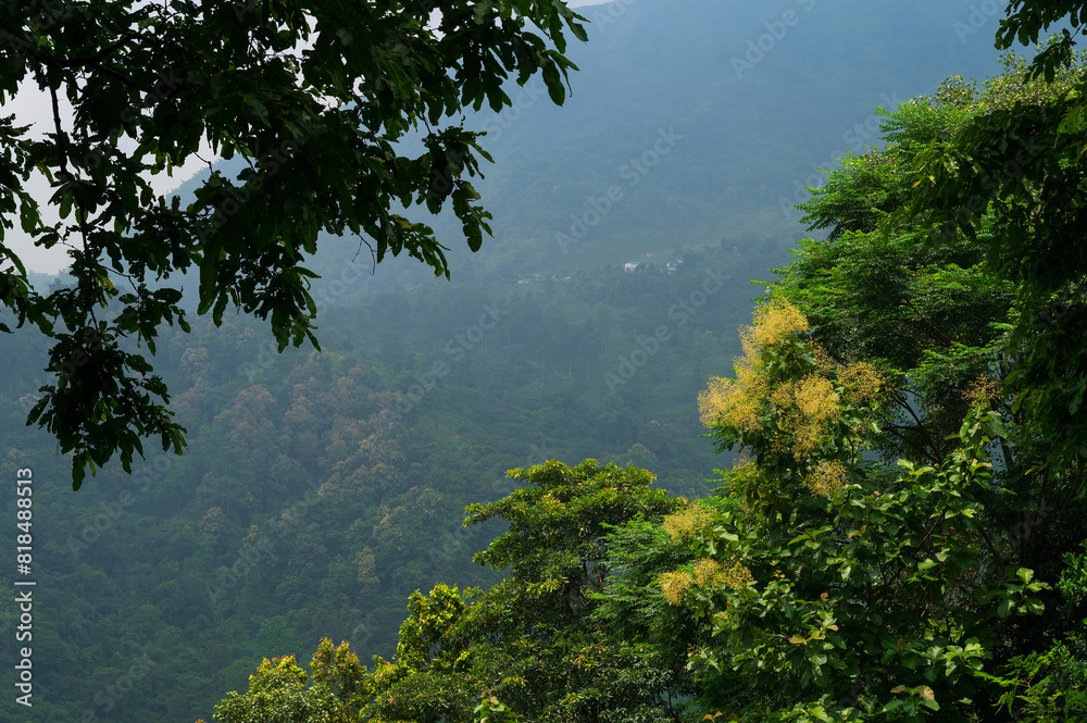 Obraz premium Himalayan mountains and lush green forest. Overcast day at monsoon at mountains. Scenic natural beauty of Darjeeling, West Bengal, India.