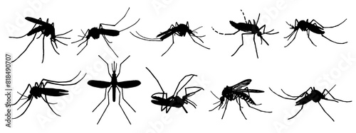 vector silhouette set of mosquitoes for malaria day and dengue fever day