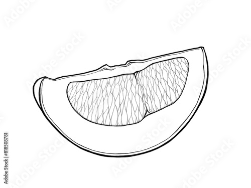くし切りにした晩白柚の線画イラスト