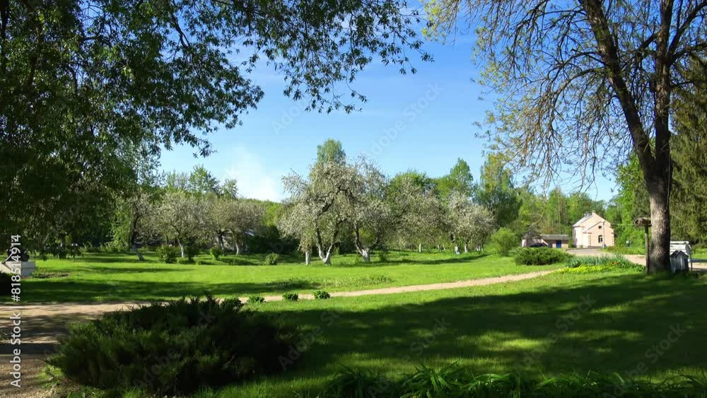 Blooming apple orchard in a country estate Blooming apple orchard in a country estate