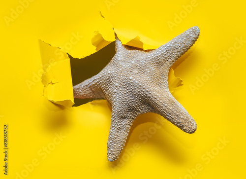 A dry starfish peeks out from a torn hole in yellow paper. Summer vacation and beach season concept.