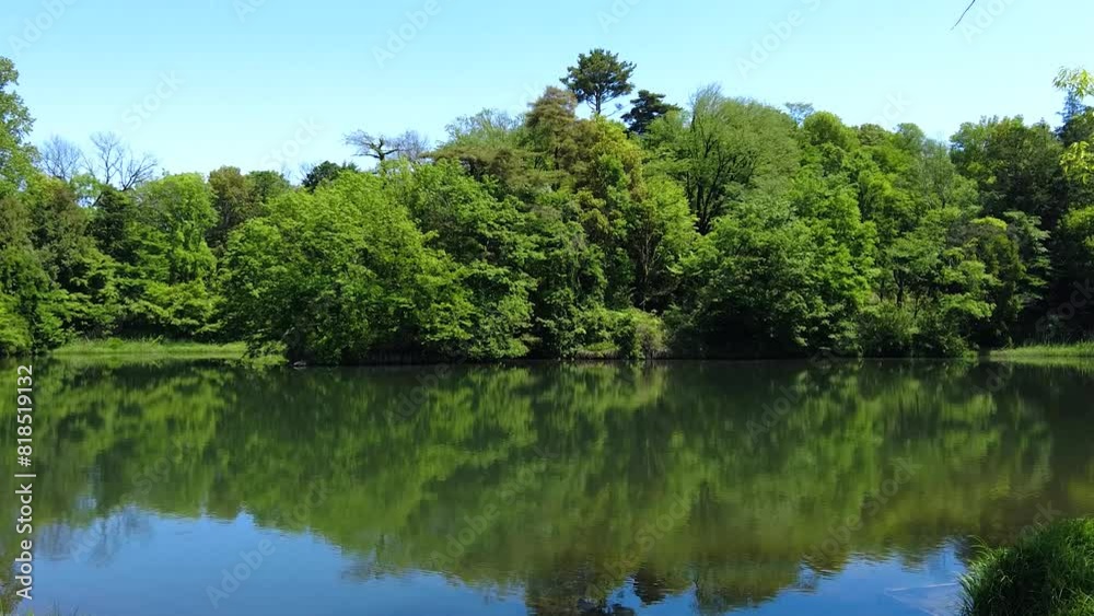 新緑が映える狭山公園内の宅部池 新緑が映える狭山公園内の宅部池