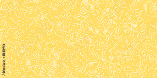 Abstract topology topographic line map 