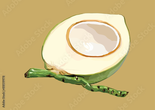 Vector Illustration of Young Coconut, Fruit
