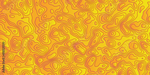 Abstract topology topographic line map 