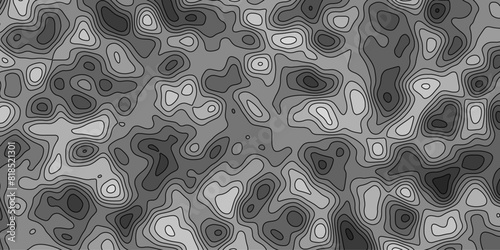 Topography map 