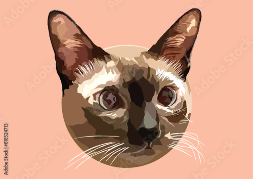 Vector Illustration of  Siamese Cat, Wichien Maat, Cat