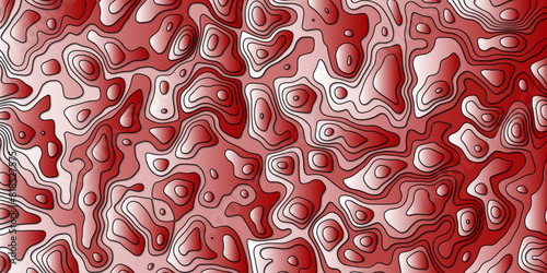 Abstract topography wavy line map.