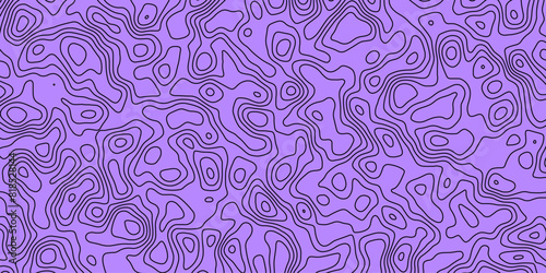 Abstract topography wavy line map.
