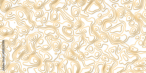 Abstract topography wavy line map.