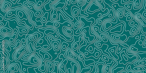 Abstract topography wavy line map.