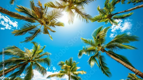 Majestic palm trees with a flawless blue sky above, viewed from beneath, capturing tropical paradise essence